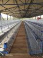 Broiler Poultry Equipment