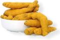 Yellow Solid selam turmeric finger