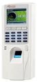 Rectanguar White realtime t61n biometric attendance machine