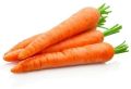 A Grade Carrot