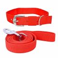 Polypropylene Red Plain ASD International dog collar leashes