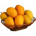 Yellow Organic alphonso mango