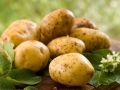 Whole Brown natural potato
