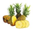 A Grade Pineapple