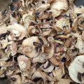 Dried Mushroom Flakes