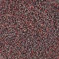 Black Mustard Seeds