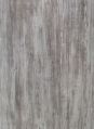 Silver Plywood
