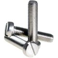 Grey Polished Stainless Steel Cheese Head Slotted Screws