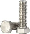 Stainless Steel Hex Head Bolts