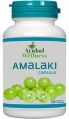 Boost Energy Amalaki Capsule (for Atherosclerosis)