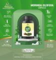 Moringa Oliefera Capsule