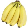 Natural fresh cavendish banana