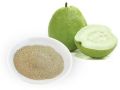 White Guava powder
