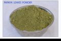 Papaya Dry Leaf Powder