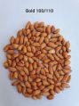 Bulk Peanut Seeds