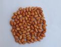 Freshia dry raw peanuts