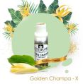 Golden Champa-X Fragrance Oil