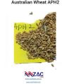 Australian Wheat APH2