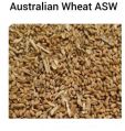 Australian Wheat ASW