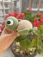 Mini Turtle Crochet Soft Toy