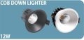 12 Watt COB LED Downlight