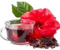 Organic Red sembaruthi poo tea