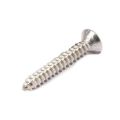 Stainless Steel Tapping Screw
