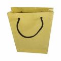 Plain Eco Friendly Paper Bag