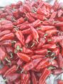 Tepa Red chilli