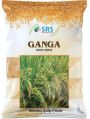 Ganga Paddy Seeds