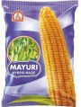 Mayuri-699 Hybrid Maize Seeds
