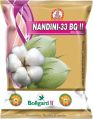 Nandini-33 BG II Hybrid Cotton Seeds