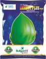 Shakthi Plus-55 BG II Hybrid Cotton Seeds