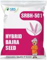 SRBH-501 Hybrid Bajra Seeds