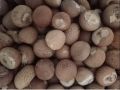 Dry Areca Nut