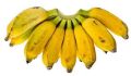Organic Yelakki Banana