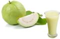 White Guava Pulp