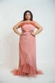 princess collection l2 party wear gown