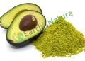 Avocado Powder