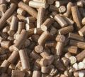 90mm Biomass Briquettes