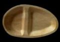 9x6 Inch 2 Compartment Oval Shaped Areca Leaf Plate