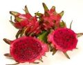 Fresh Dragon Fruit