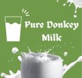 White Liquid donkey milk