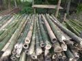 Round bamboo poles