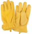 safety Hand Gloves