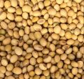 Natural soybean seeds