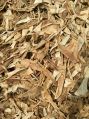 Dried Aloe Vera Leaves