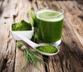 Green wheat grass powder