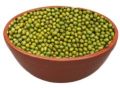 Rich Bloom richbloom green gram seeds