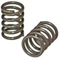 Stainless Steel Grey engine valve springs